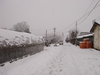 今日も雪がつもりました 2008/02/09 15:39:22