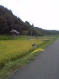 全校実習（作物部）