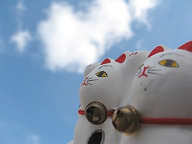 2008年を振り返って