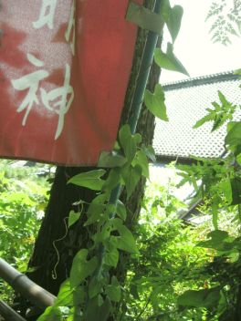 森町 蓮華寺