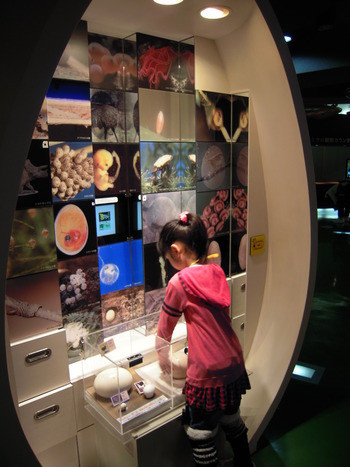 浜松科学館