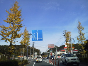 ドライブ