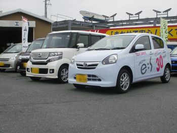展示会
