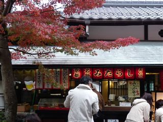 大原と奈良公園