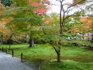 大原と奈良公園