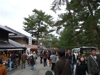 大原と奈良公園