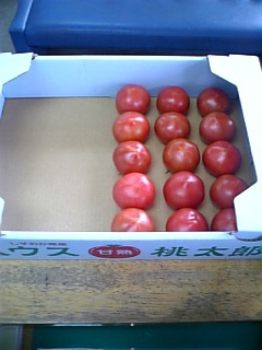 しげひろさんちのトマト