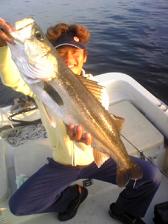 10.26 Megabass CUP