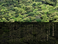 やんばる探検