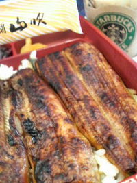 山吹うなぎ弁当＋新幹線×東京=ニューハレーション♪