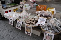 モール街軽トラ市へ～