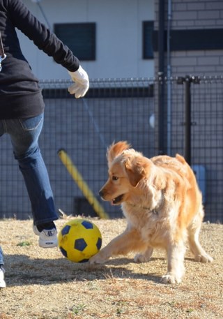 プーちゃん