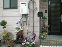 腸の排毒ケア