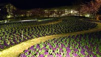良かったぁ＼(^o^)／♪ 2012/04/08 18:49:54