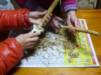 手作りごぼう茶