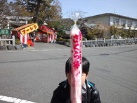 桜ヶ池 2012/03/20 15:10:30