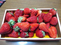いただきもの！ 2012/04/01 18:18:24