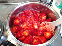 イチゴ！ 2012/04/25 11:48:36