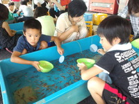 金魚すくい 2012/08/08 19:44:34