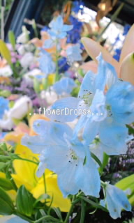物販の紹介⑤　FlowerDrops
