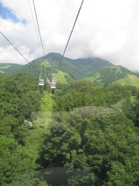 しいくれっど　があでん　in　白馬　上 2011/08/10 12:32:49