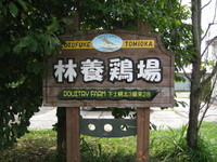 林養鶏場のさくらたまご　in 北海道 2011/09/26 00:02:03