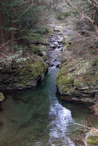 本当の阿多古川