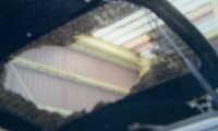 【草刈り中に】　偶然