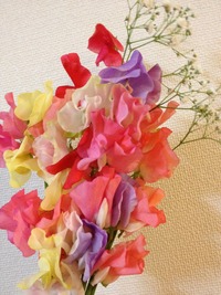 くれない族