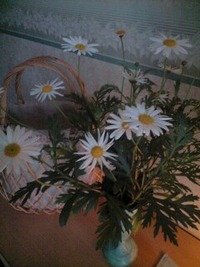 スクール生徒募集☆