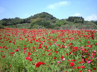 ６月予約状況のお知らせです♪