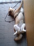 今日も爆睡中 2009/08/15 14:07:15