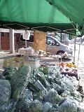 陽だまり市開店しました。 2011/02/16 10:06:56