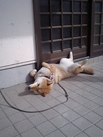 春のナミ　ひねもす・・・・