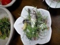 こば家の家庭菜園　