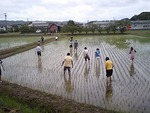 花の香楽会 田植え中 2010/06/13 12:23:16