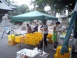 ご近所マーケット開店中です！ 2010/10/19 10:59:37
