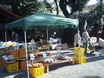 ご近所マーケット開催中 2010/11/16 10:40:03