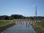 鯉の滝登り発見！ 2010/04/17 12:33:22