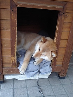 春のナミ　ひねもす・・・・