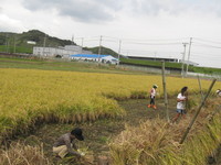 花の香楽会　田植えのち宴