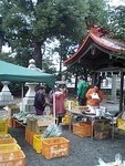 三社神社境内で ご近所マーケット開店中です！
