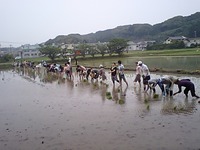 花の香楽会　第一楽章　田植え 2011/06/05 20:16:55