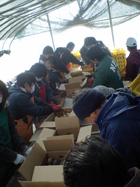 夢プロジェクト　芋切り編パートⅡ 2011/02/03 22:07:00