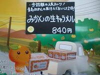 みかん生キャラメル ようやく入荷しました！