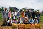 三方原男爵　収穫