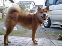 キャッチ アンド リリース 2009/12/10 17:33:35
