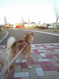 やすらぎ公園　　プチオープン間近 2010/03/18 08:07:13