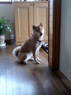 半年間で、これだけ成長しました