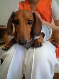 ～１１月の予定～ 2011/10/22 15:38:43